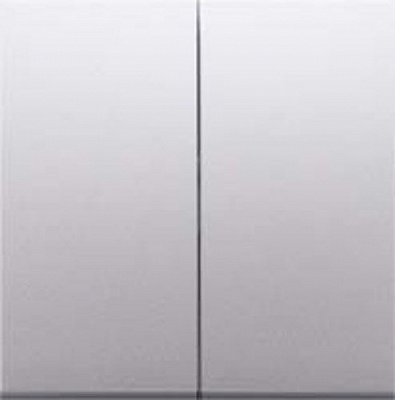 Клавіша вимикача двоклавішний Simon 54 без підсвітки 10 А 250В сріблястий DKW5/43