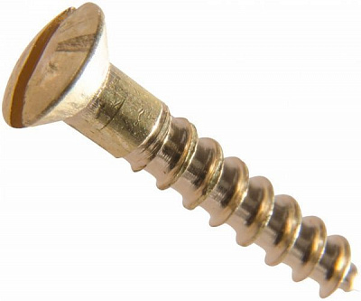 Шуруп по дереву полупотайная головка 2,5x16 мм 22 шт EXPERT FIX