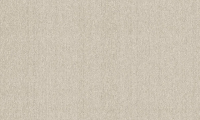 Шпалери вінілові на флізеліновій основі DINASTIA 802DN24 1,06x