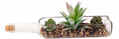 Тераріум Сукуленти у горизонтальній пляшці 38х15 см