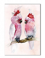 Картина Попугаи AQUA-1 50x70 см ЕО174 