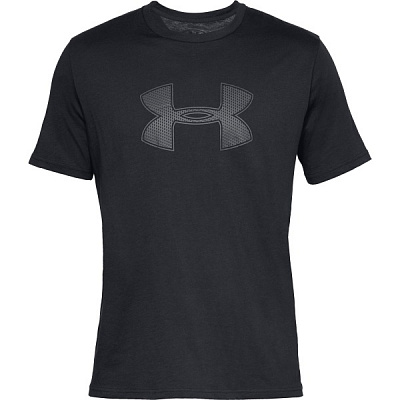 Футболка Under Armour UA BIG LOGO SS 1329583-001 S черный