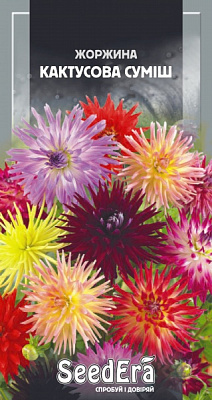 Смесь семян SeedEra георгина Кактусовая смесь 0,3 г (4823114401145)