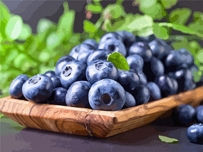 Картина за номерами Соковита Елізабет 12006-AC 40х50 см ArtCraft