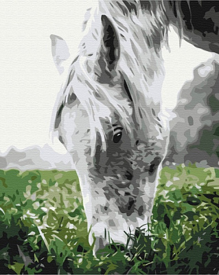 Картина по номерам Серая лошадка BS52443 40x50 см Brushme 