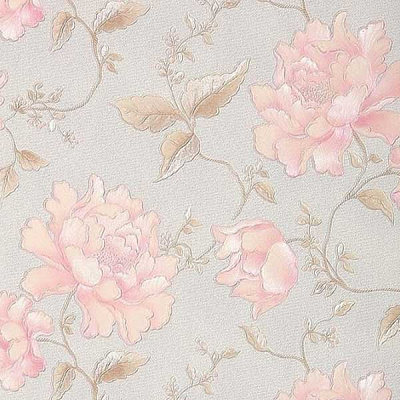 Едем Статус 748-37 0.53x10.05 м