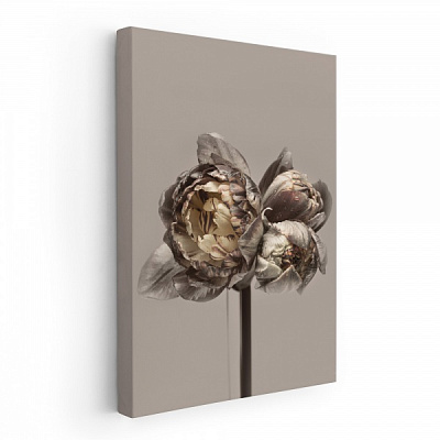 Картина на полотні Бежеві квіти 70x50 см WS Holst 14082216