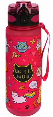 Пляшечка Cool For School Kitty 500 мл CF61309