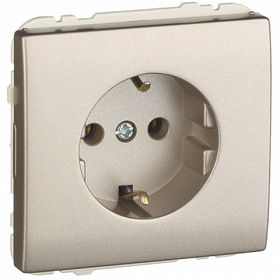 Розетка кінцева із заземленням Efapel Apolo IP20 шампань 50131 TCH