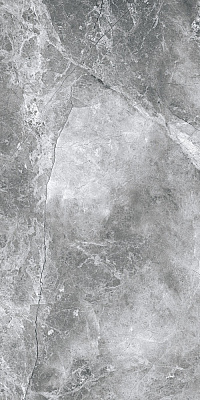 Плитка Allore Group Tesora Grey F P R Mat 60х120 см