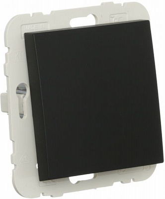 Вимикач одноклавішний Efapel Logus без підсвітки 10 А 250В чорний 21011 TPM