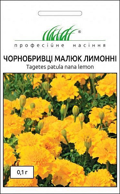 Семена Професійне насіння бархатцы Малыш лимонные 0,1 г