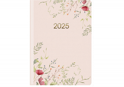 Щоденник датований Economix A5 2025 E21853 мульті