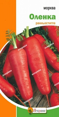 Семена Яскрава морковь Аленка 3г
