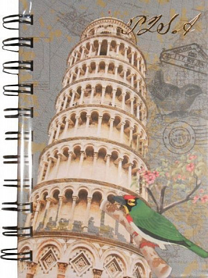 Блокнот на спирале А6 HDN421-A6