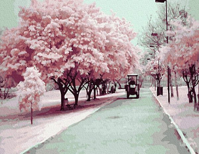 Картина по номерам Прекрасный парк BookOpt 