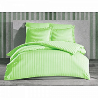Комплект постельного белья Stripe Pistache евро зеленый 