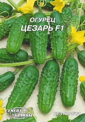 Насіння Семена Украины огірок гігант Цезарь F1 4г