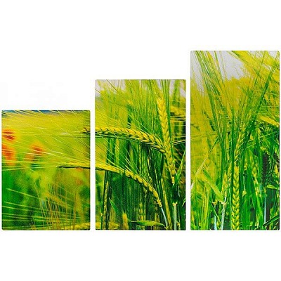 Картина-модульна на полотні MK011 3 частини