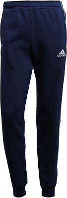 Штани Adidas CORE18 SW PNT CV3753 р. L блакитний