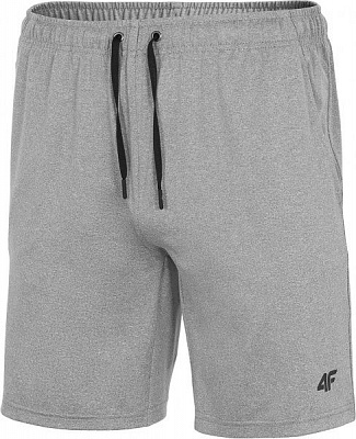 Шорти 4F NOSD4-SKMF301-25M р. S сірий