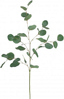 Растение искусственное Эвкалипт зеленый 28379KR
