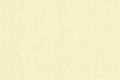 Обои виниловые на флизелиновой основе Bravo 81100BR08 1,06x10,05 м 