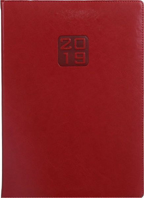Дневник 2019 Bravo Soft A4 336 страниц червоний Buromax 