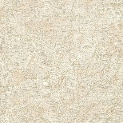 As Creation Dekora Natur 6 95896-2 0.53x10.05 м