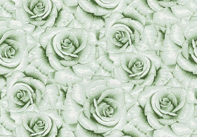 Шпалери зі спіненого вінілу Vinil Френсіс ВКП4-1081 0,53x10,05 м