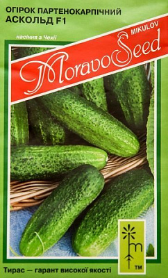 Насіння MoravoSeeds огірок аскольд 1,2г