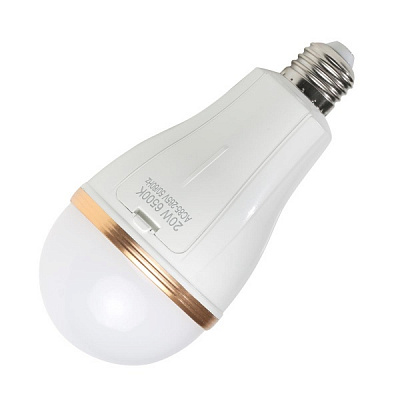 Лампа світлодіодна Gway Y-3920 G біла+золото A60 20 Вт E27 220 В матова