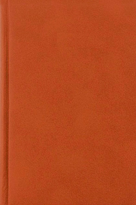 Дневник недатированный Megara коричневый Economix A5