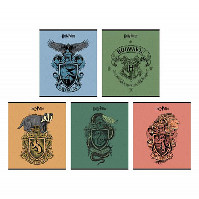 Зошит 24 арк. лінійка HP25-239 KITE