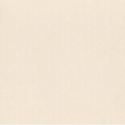 Обои RASCH Philomina 961904 