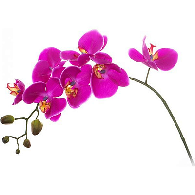 Рослина штучна Орхідея 4733 PU