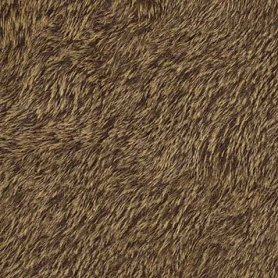 Rasch Black Forest 514520 0.53x10.05 м