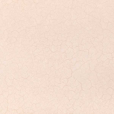 Обои Status категорія 41 9051-14 