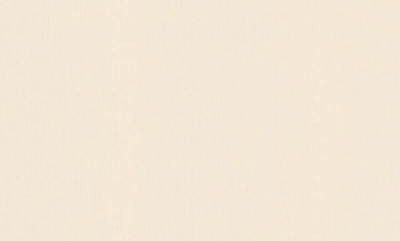 Шпалери вінілові на флізеліновій основі Erismann Fashion For Walls 2 12035-39 1,06x10,05 м