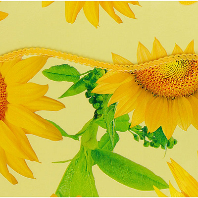 Скатертина Lotti Соняшник 137x183 см