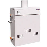 Котел газовый ТермоБар КС-Г-10 ДS