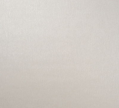 Шпалери вінілові на флізеліновій основі Vinil Ліон стіна ЭШТ 2-1540 1,06x10,05 м