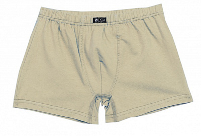 Труси для хлопчиків KOSTA р.158-164 бежевий 2105-3