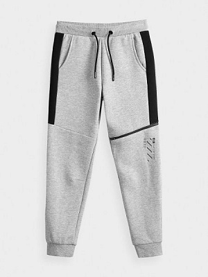 Брюки 4F J4Z20-JSPMD203-25M р. 152 серый