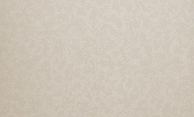 Шпалери вінілові на флізеліновій основі MEGAPOLIS 9181-14 1,06x10,05 м