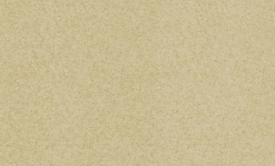 Шпалери вінілові на флізеліновій основі ASSORTI 960AS39 1,06x10,05 м