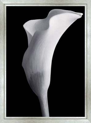 Репродукция 50x40 см SvitArt HEM1101 