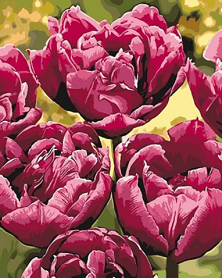 Картина за номерами Вишукана елегантність Ідейка