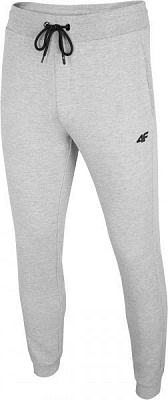 Брюки 4F NOSH4-SPMD001-27M р. 2XL серый