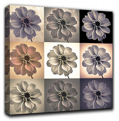 Репродукция AF20110818 Dahlia Set 02 80x80 см RozenfeldArt 